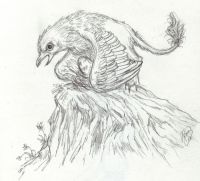Nest in the heights